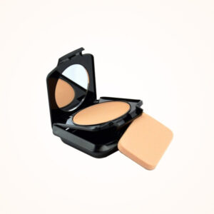 Dual Foundation